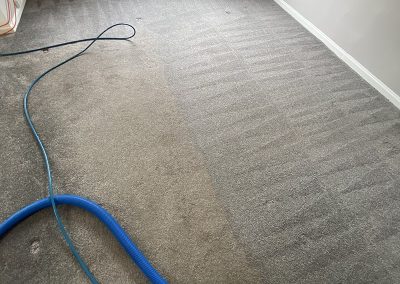 Best-carpet-cleaning-Ayrshire.jpeg