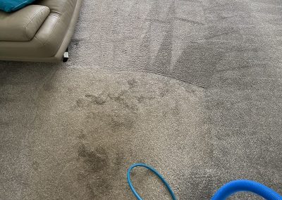 best-carpet-cleaners-Glasgow.jpeg